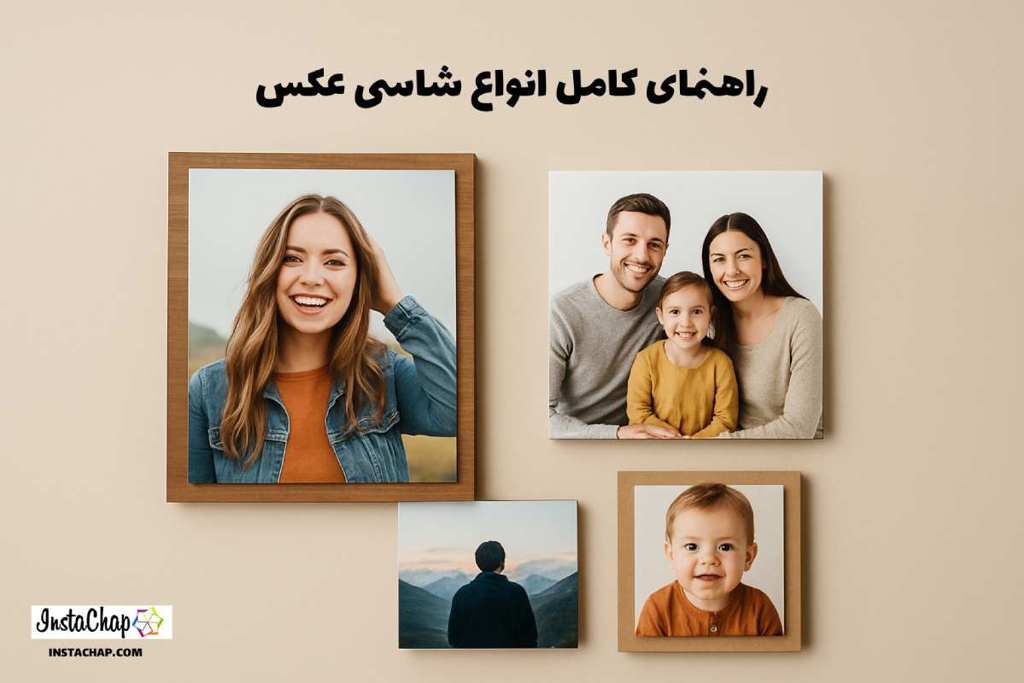 انواع شاسی عکس: راهنمای کامل برای انتخاب درست + ویژگی‌ها